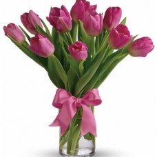 Precious Pink Tulips 
